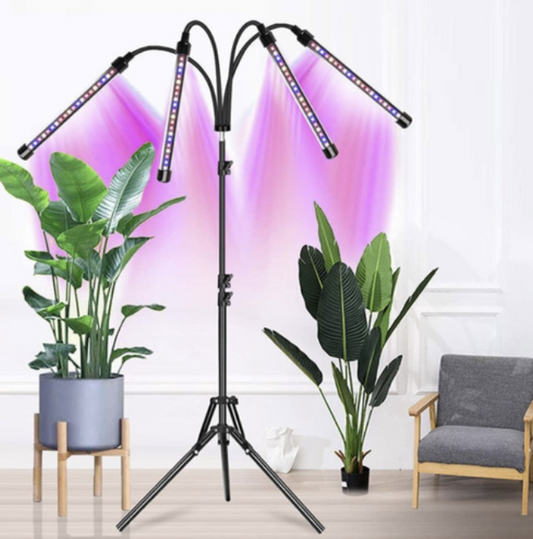 Augu audzēšanas lampa